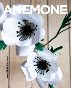 anemone fiore di carta segnaposto